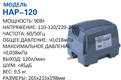 hap-120.jpg