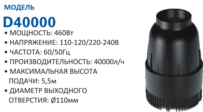 d40000.jpg