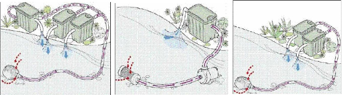 biosteps 10 1.jpg