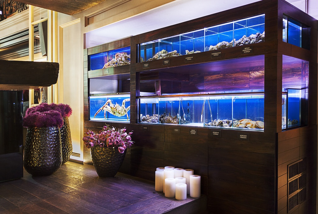 aquarium.jpg aquarium.jpg