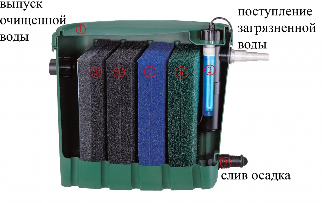 biosteps 10.jpg