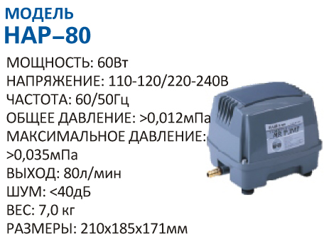 hap-80.jpg