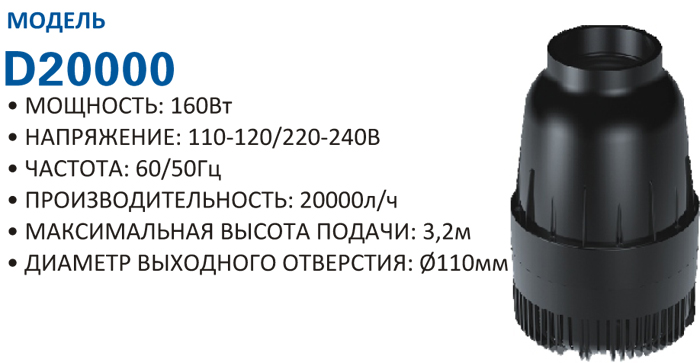 d20000.jpg