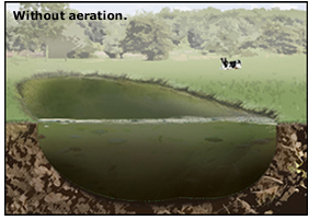 pond-aeration1.jpg